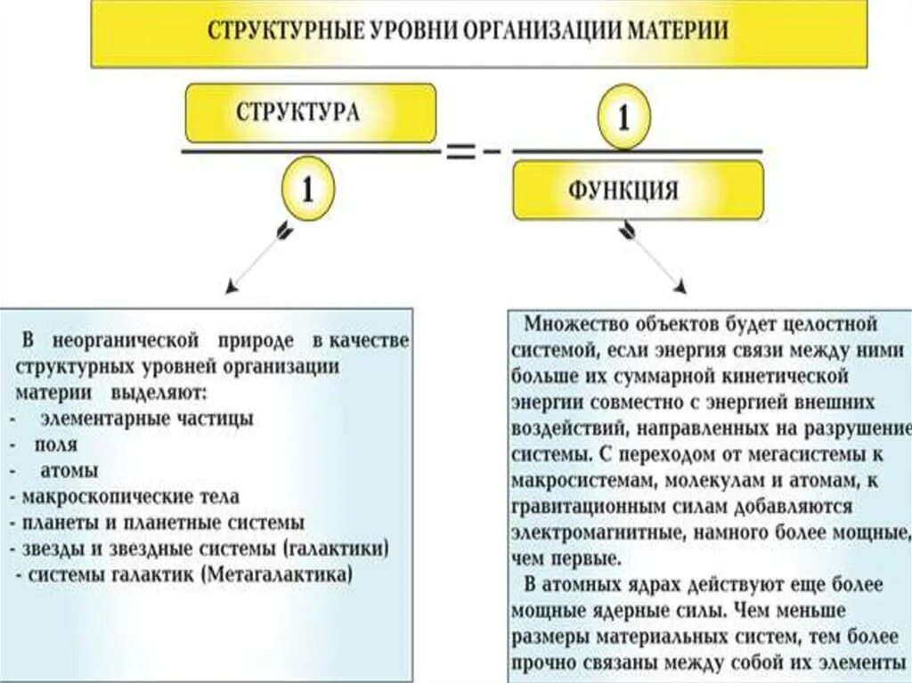 Структурные организации материи