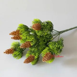 П шишка