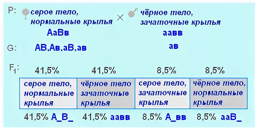 Определите генотипы родительских растений гороха