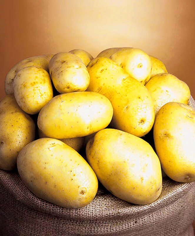 Какие семена картошки
