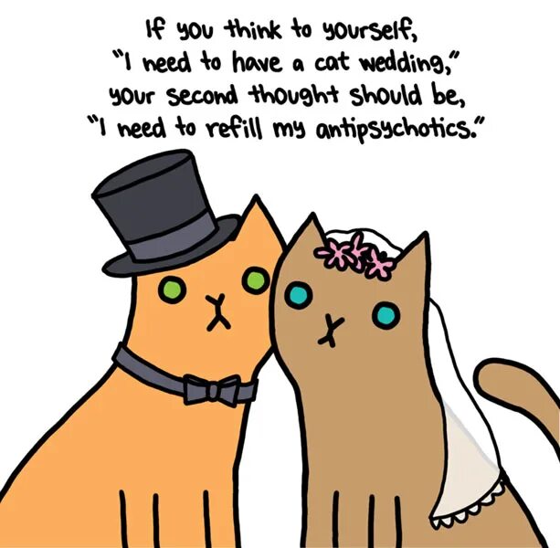 Кошачья свадьба. Кошачья свадьба шутки. С годовщиной свадьбы кошки. Кот и кошка свадьба.