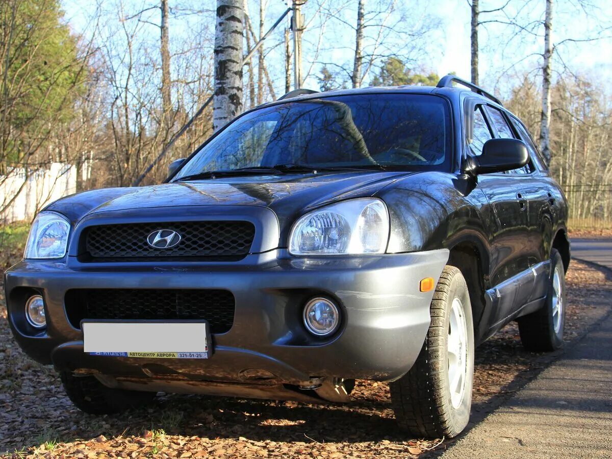 Санта фе 1 поколения дизель. Хендай Санта Фе 2003. Hyundai Santa Fe 2003 год. Хендай Санта Фе 2003г. Хендай Санта Фе 2003 года черный.