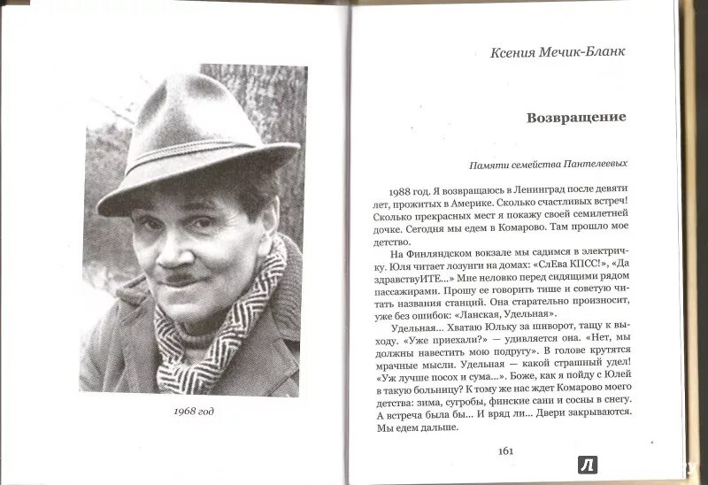 Краткое содержание рассказов пантелеева. Донат Исаакович мечик.