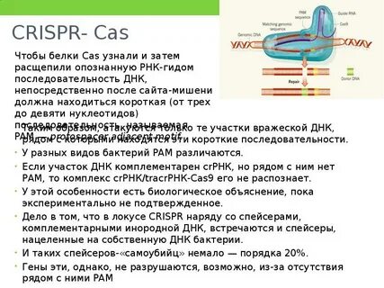 Днк родственники