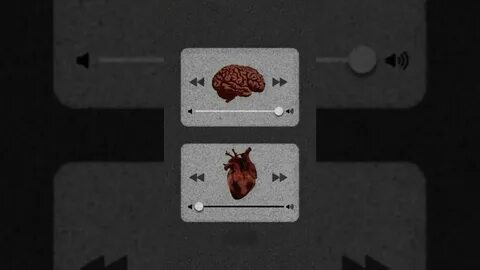Rogue internal