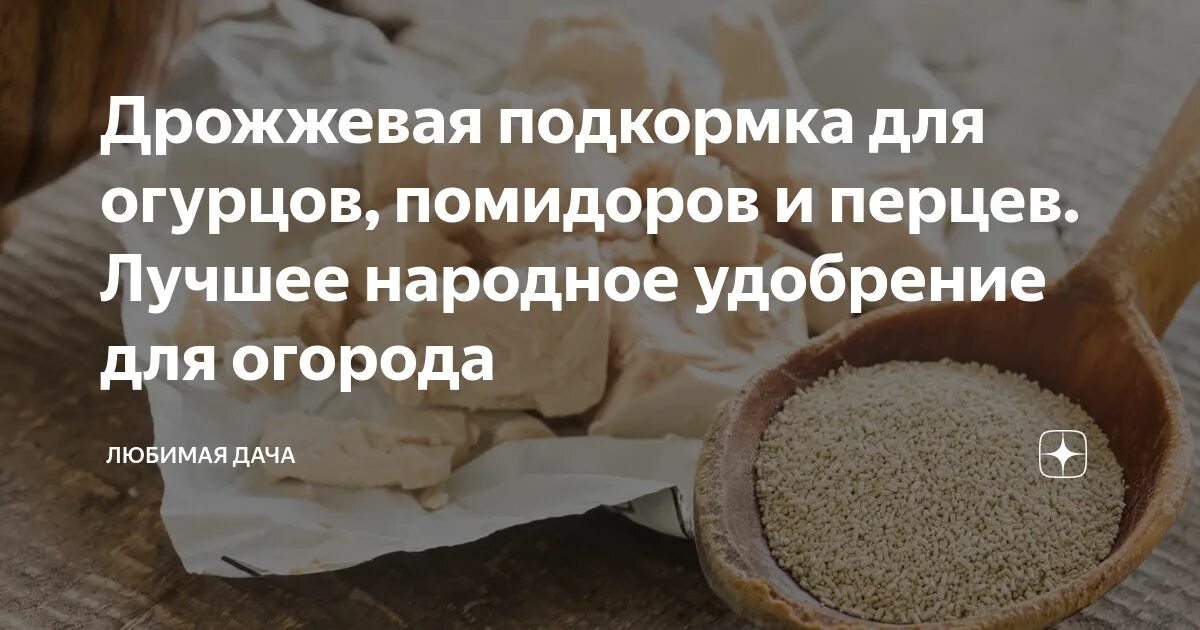 Можно ли рассаду поливать дрожжами. Подкормка огурцов дрожжами. Подкормка из дрожжей для рассады томатов и огурцов и перца. Дрожжевая подкормка. Удобрение из дрожжей для рассады огурцов.