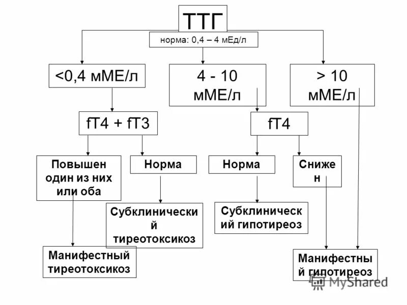 Уровень ттг у мужчин