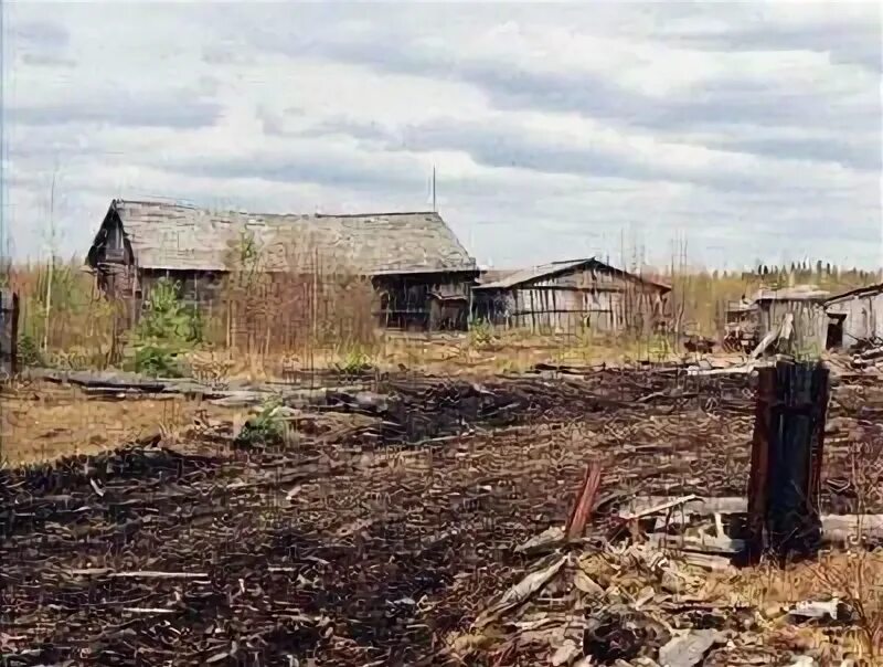 Курдюг. Деревня кучепалда озеро. Кучепалда озеро. Курдюг вологодская область зона. Курдюг.