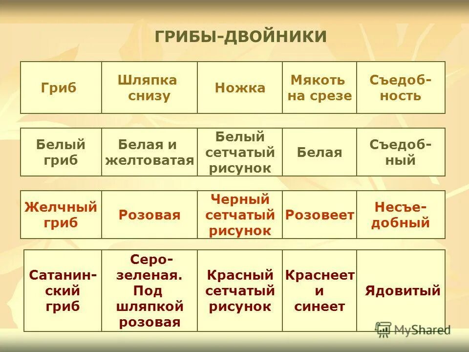 опасные двойники съедобных грибов. желчный гриб ядовитый. ложный опасный двойник белого гриба. грибы двойники съедобный гриб опасный двойник. ядовитые грибы двойники съедобных.