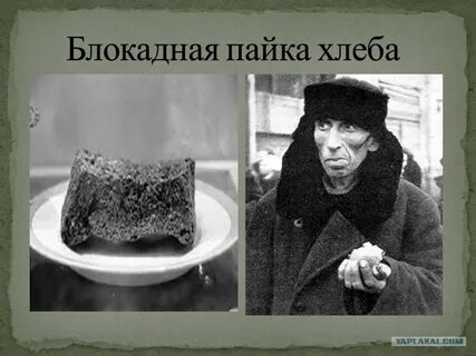 Пайки блокадного ленинграда