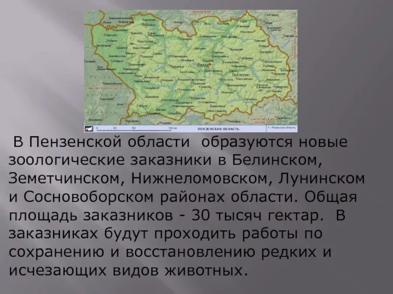 Информация пензенская область. Доклад о Пензенской области. Пензенская область презентация. Природа Пензенской области презентация. Доклад на тему Пензенская область.