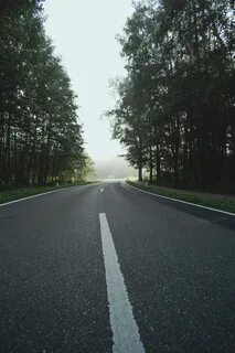 Опять в природе поворот