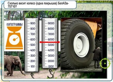 Сколько весит реальная жизнь