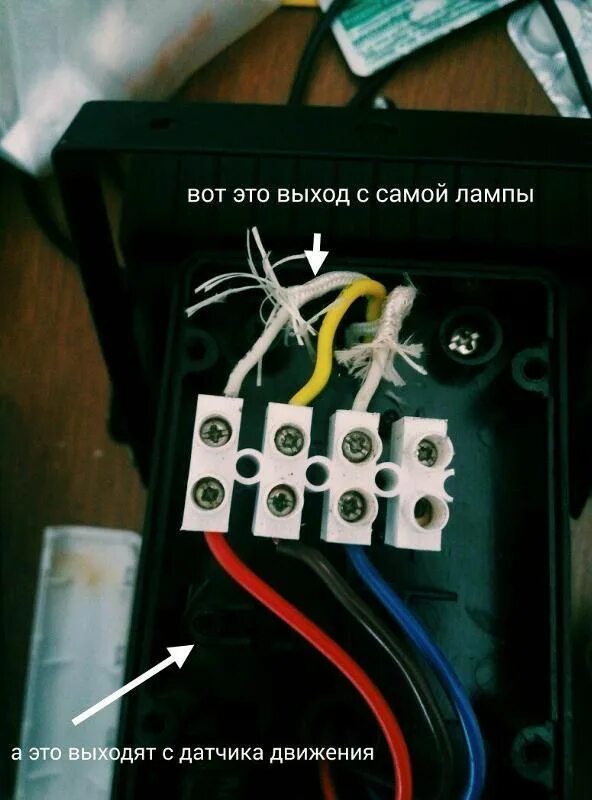 Подключить прожектор светодиодный 220в три провода. Как подключить светодиодный прожектор с тремя проводами к 220в. Подключение прожектора с датчиком движения к сети 220 в. Подключить светодиодный прожектор 3 провода с датчиком движения.