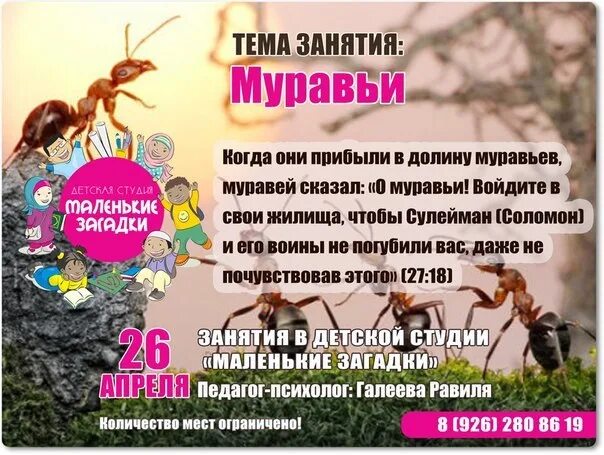 Лесные муравьи. Самые маленькие муравьи. Dorylus муравьи. Кочевые муравьи сиафу. Муравьи феллахи.