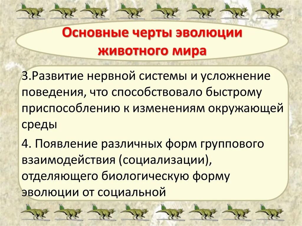 Основные этапы развития животных 8 класс. Основные черты эволюции. Основные черты эволюции животных. Эволюционная основные черты. Основные признаки эволюции.