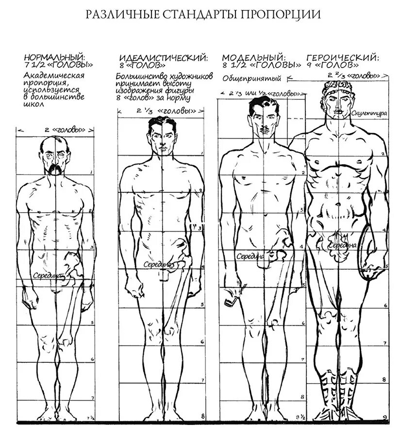 Тип рисования человека. Лумис Эндрю "рисование фигуры". Пропорции тела мужчины рисунок. Пропорции тела мужского человека. Пропорции тела человека таблица для художников.