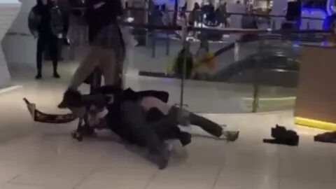 Драка телеведущей андреевой