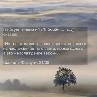 Сказал ибн