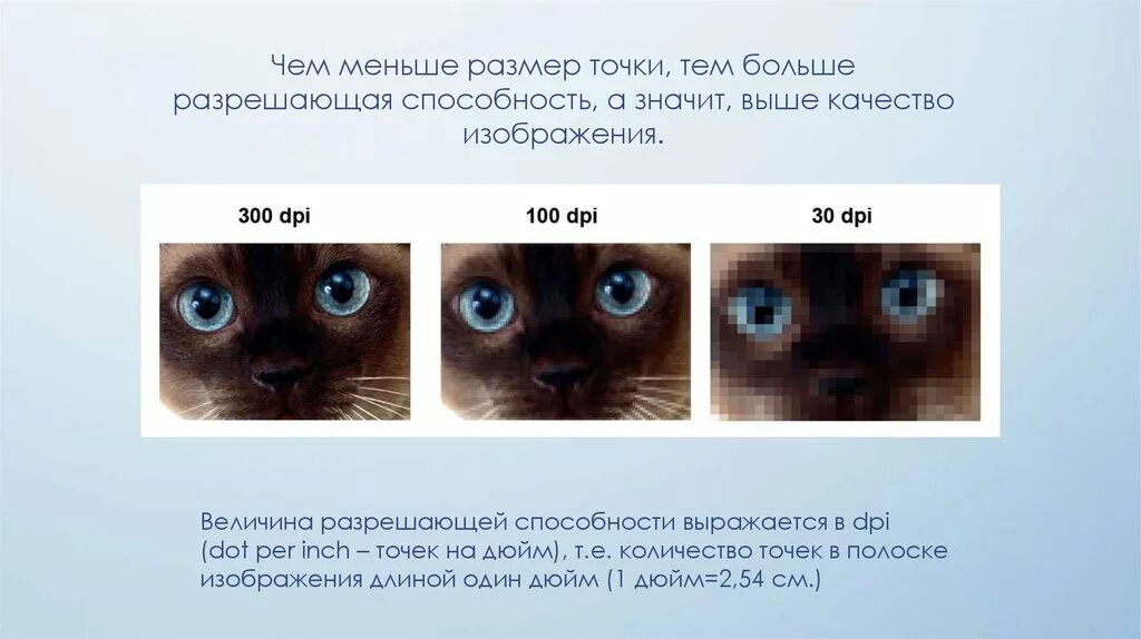 Разрешение изображения 300. Качество изображения. Разрешение растрового изображения. Разрешение качества изображения. Растровое изображение высокого качества.
