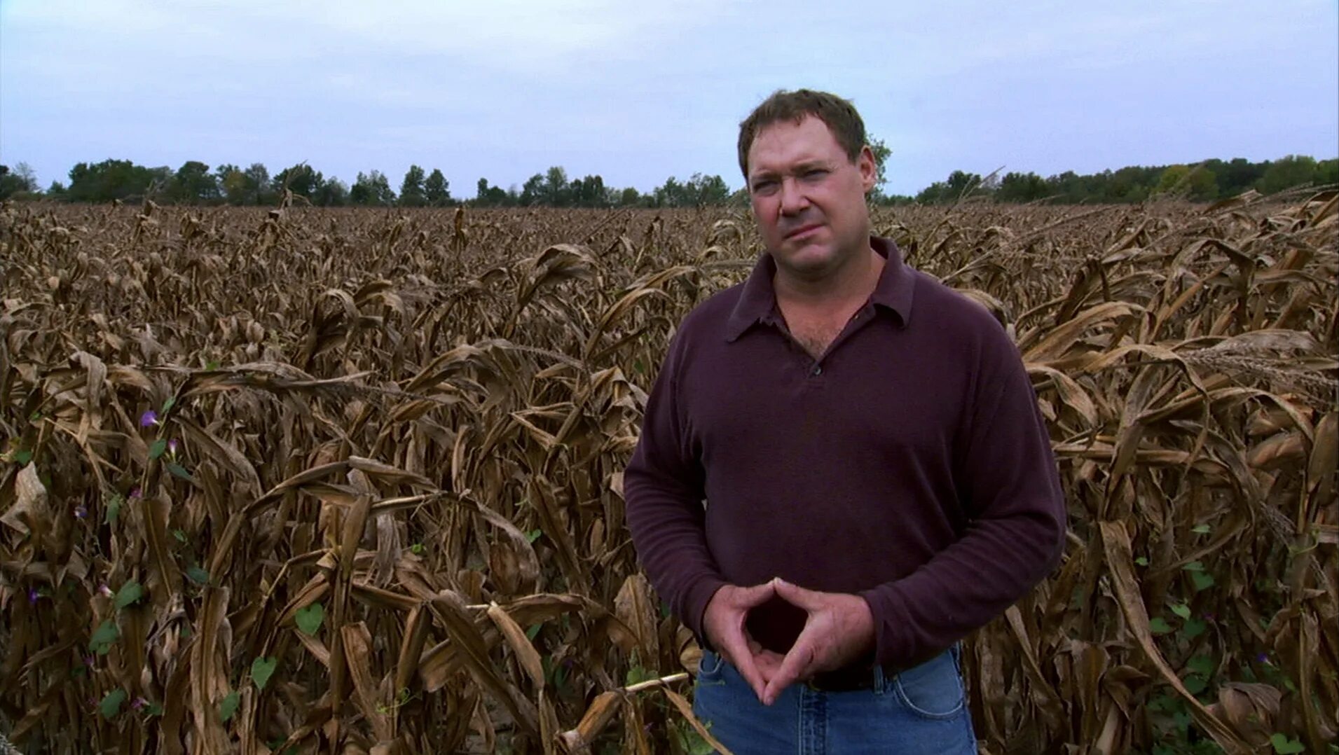 Documentaries about food. Food inc vimeo. Food, inc chapters. Food inc. Food inc.
