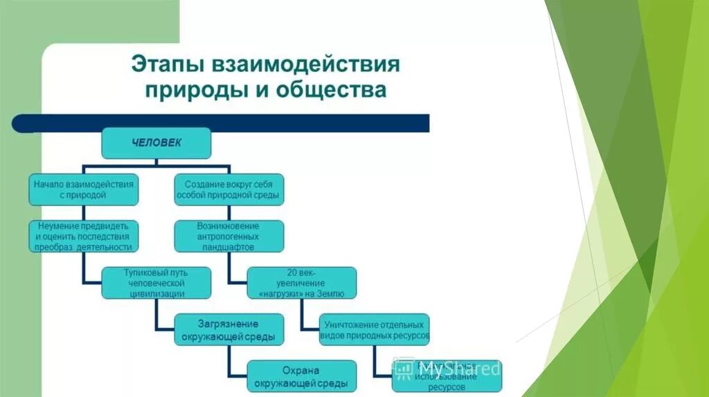 Человек природа взаимосвязь пример. Этапы взаимодействия общества и природы. Исторические этапы взаимодействия общества и природы. Этапы взаимодействия человека природы и общества. Природа и общество: основные этапы развития взаимоотношений..