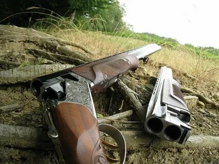 Ружье с вертикальными стволами