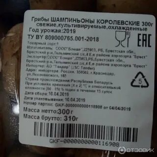 Срок годности шампиньонов в холодильнике свежих