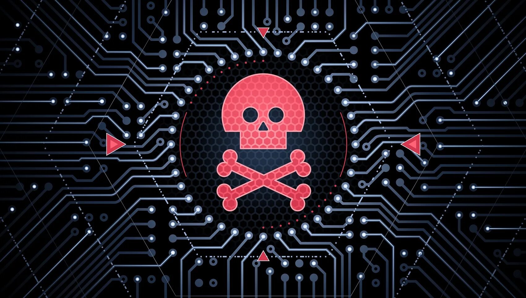 Anarchy amiga. System license violation при запуске windows 10. License violation. System license violation. System violation.