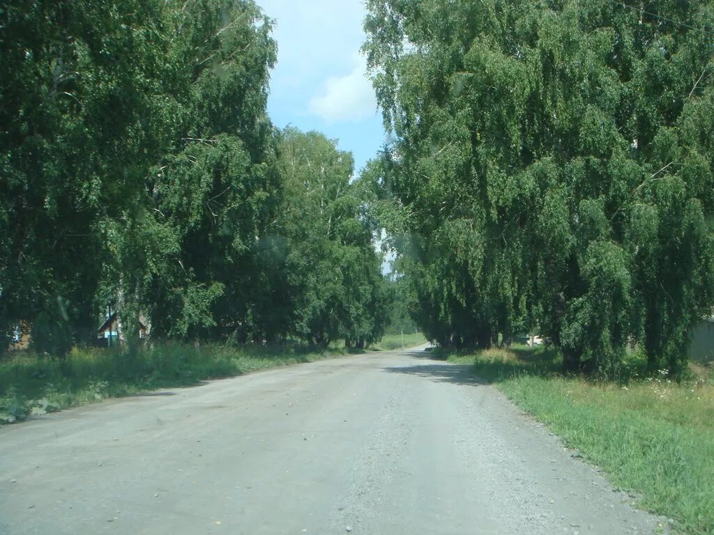 Село болотное. Поселок Болотное Новосибирская область. Болотная город Новосибирской области. Болотная улица Новосибирск. Город Болотное природа.