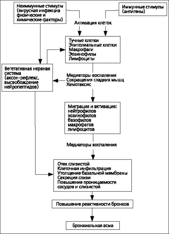 Схема ба. Патогенез бронхиальной астмы. Механизм развития бронхиальной астмы схема. Патогенез ба схема. Патогенез бронхиальной астмы схема.