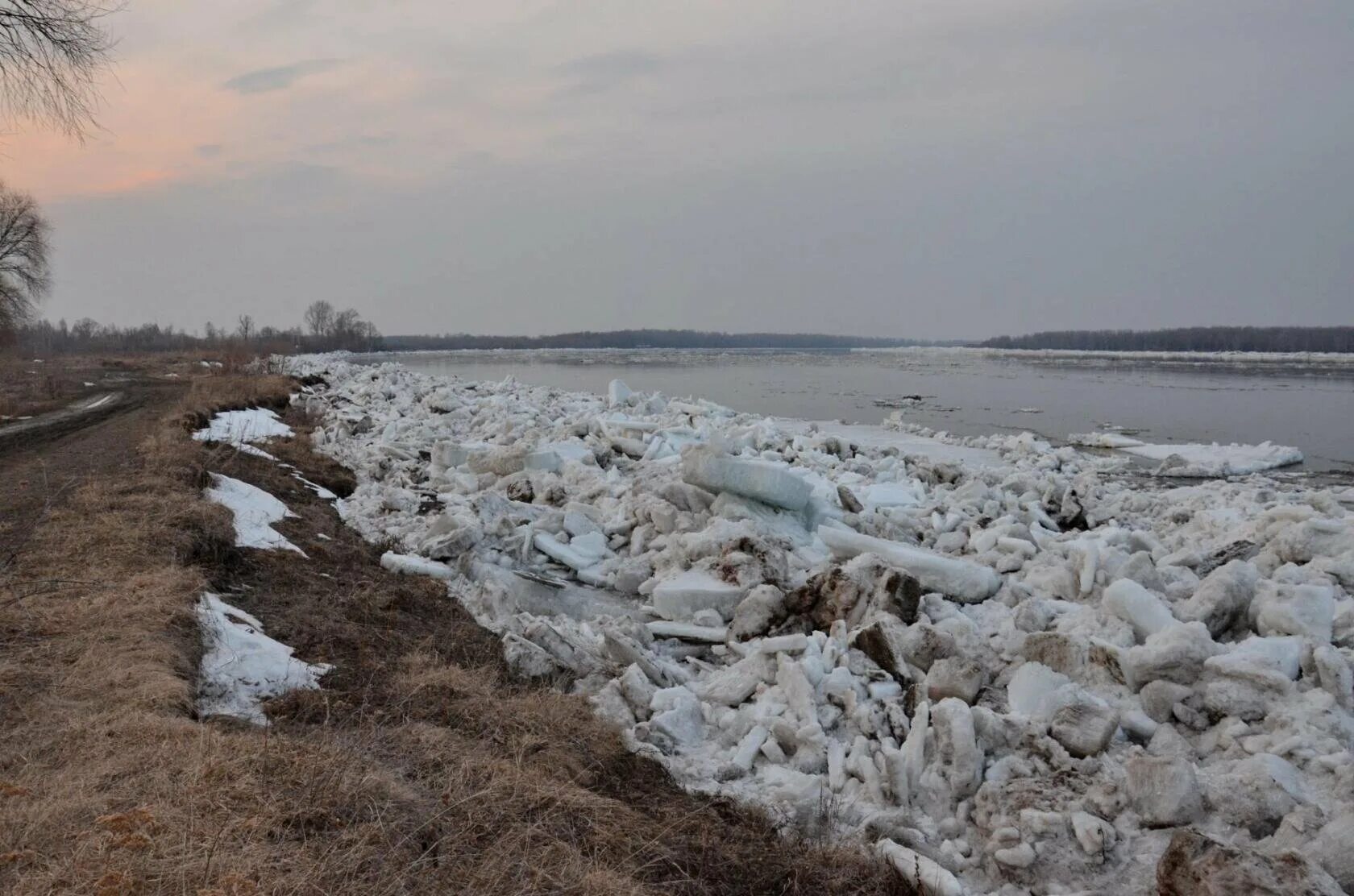 Какая вода в оби. Колпашево река Обь. Ледоход на Оби 2023 в Колпашево. Гидропост Колпашево. Колпашево ледостав.