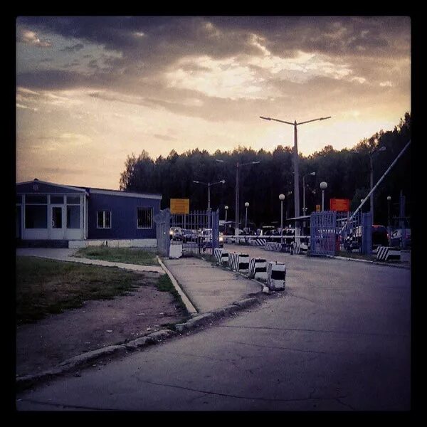 Снежинск улица нечая дом 4. Челябинская область, г. Город снежинск челябинской области. Оранжерея лесотехнической академии. Лицей 8 сосновый бор.