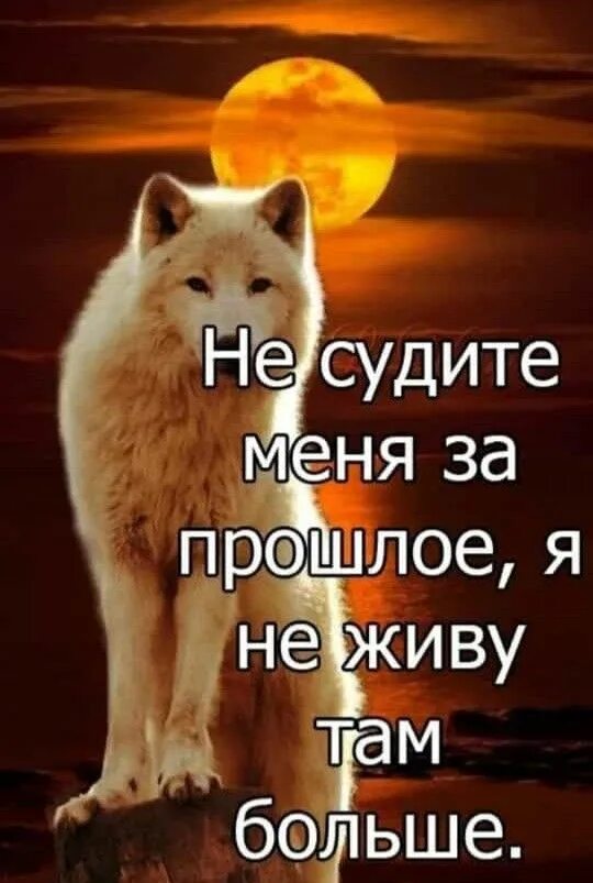 Не судите меня по себе. Не суди меня жизнь. Не суди меня жизнь. Не смейте судить человека возможно. Прежде чем судить меня убедитесь что.