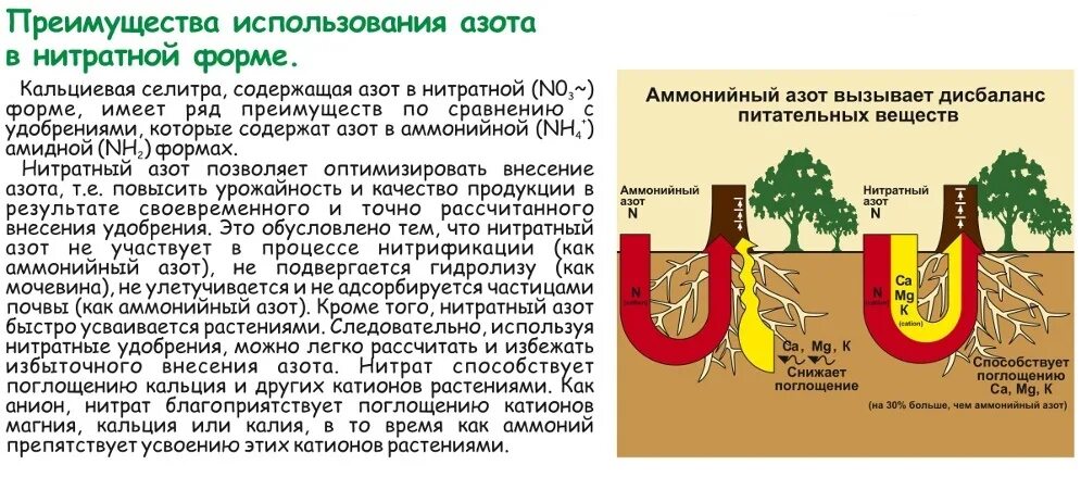 Повышенным содержанием азота