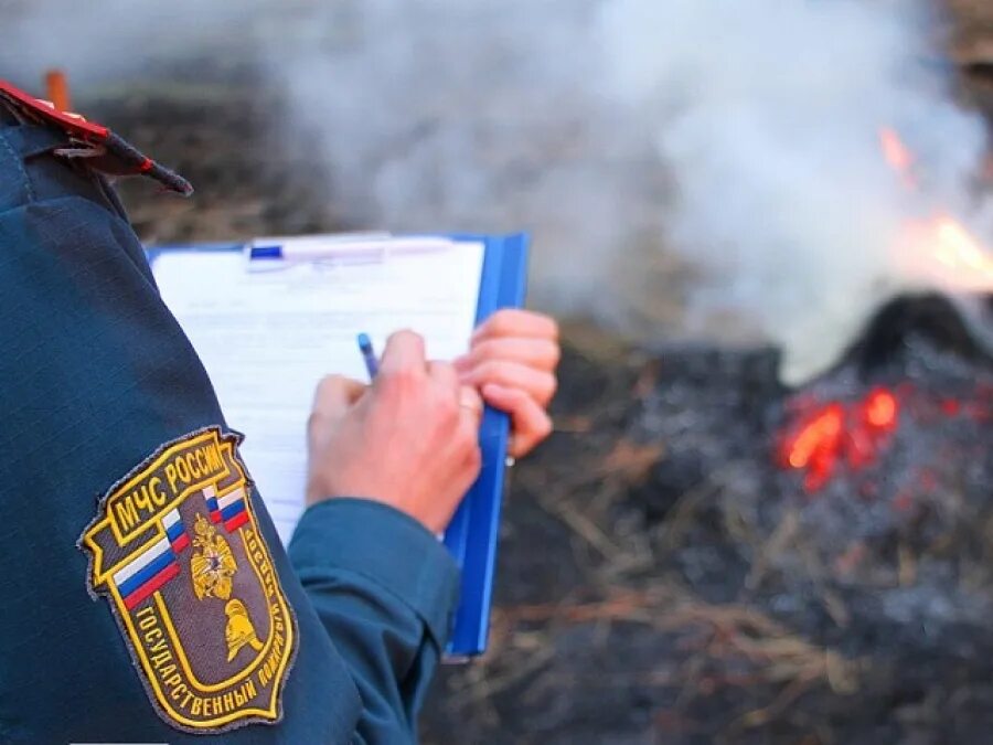 Нарушение требований пожарной безопасности. Штраф МЧС по пожарной безопасности. Штрафы за нарушение пожарной безопасности в лесу. Противопожарный режим штрафы. Граждан сгорела