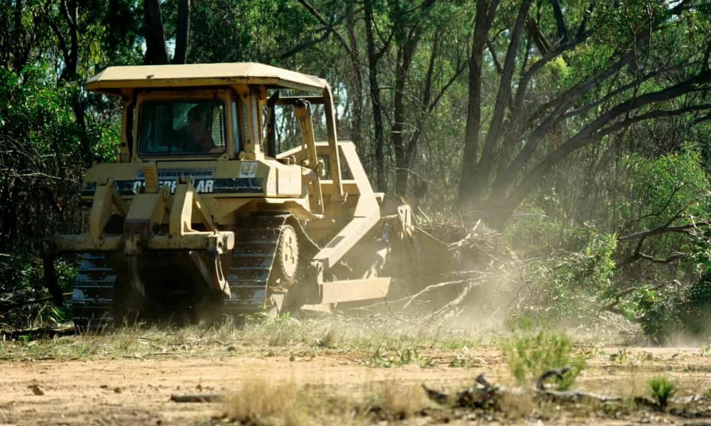 Clearing land. Cleared Land. Clearing.