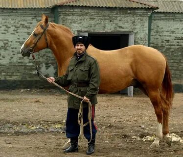 Со кон