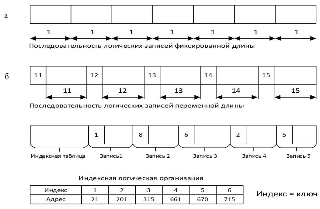 Логическая организация файла. Запись переменной длины. Логическая организация файловой системы. Логическое и запись. Логическая последовательность в тексте