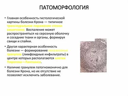 Патоморфология