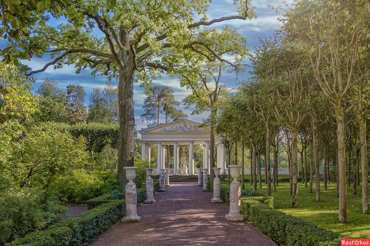 павловский парк в павловске. пейзажный парк в павловске. павловск парк летом. пейзажный парк в питере павловский. пейзажный парк в павловске.