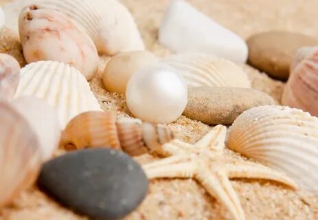 Sea pearl