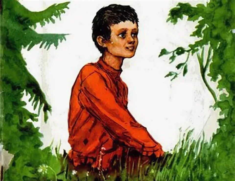 Тест петька на даче. Книги андреева петька на даче. Андреев петька на даче обложка книги. Петька на даче краткое содержание. Петька на даче иллюстрация.