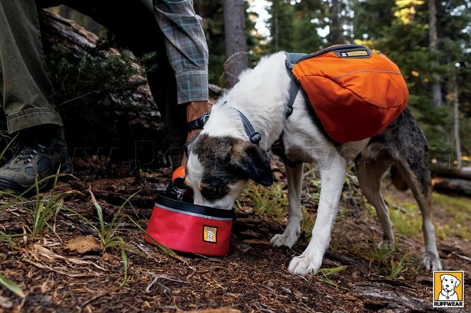 Ruffwear рюкзак. Рюкзак для собак Ruffwear. Ruffwear approach Pack. Ruffwear Palisades Pack. Что надо купить собаке