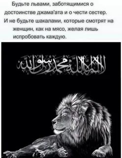 Не трогайте льва