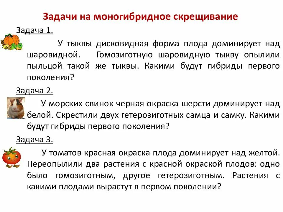 Решение задач на генетику 9 класс на моногибридное скрещивание. Задачи по генетике на моногибридное скрещивание 9 класс. Задачи по генетике на моногибридное скрещивание 9 класс. Задачи по биологии. Задачи по генетике моногибридное.