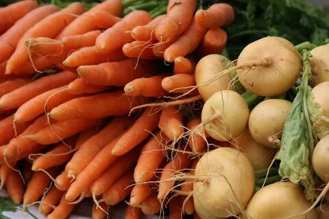 Репы свеклы моркови корнеплоды
