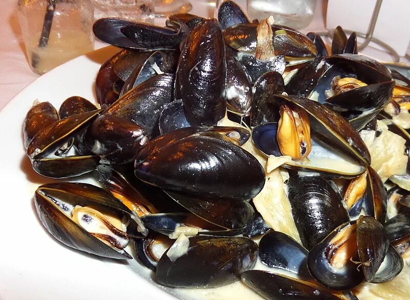 Жемчужница моллюск жемчуг. Устрицы с жемчугом. Жемчужница обыкновенная. Жемчуг в мидиях. Морская жемчужница моллюск.