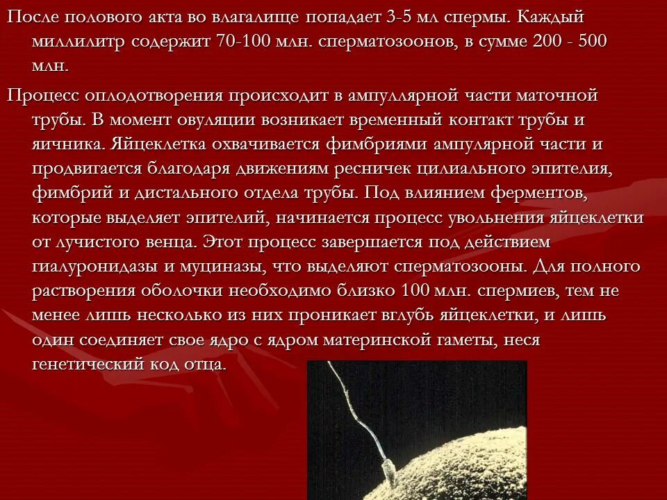 После полового акта. Влагалище после полового акта. Совершение полового акта. Механизм полового акта.