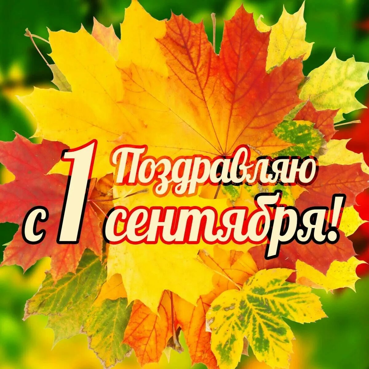 День знания средняя группа